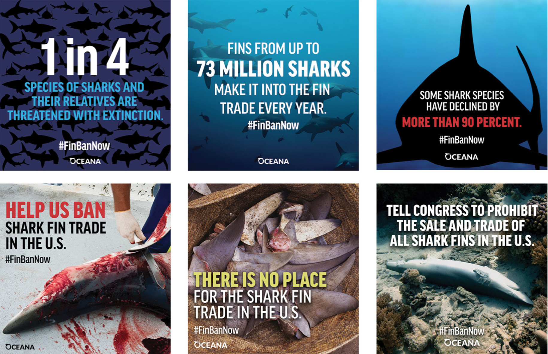 a gallery of different ads with shark imagery