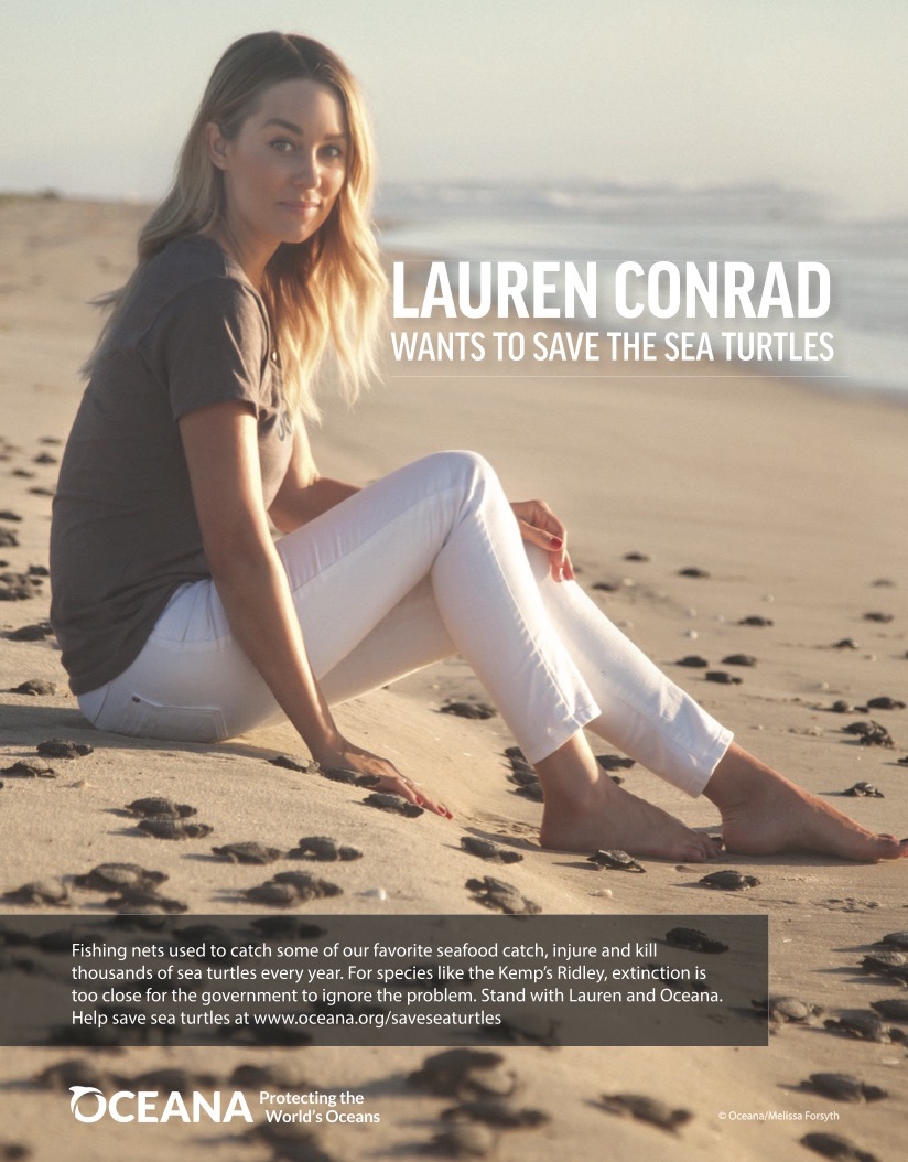 a woman sitting on a beach