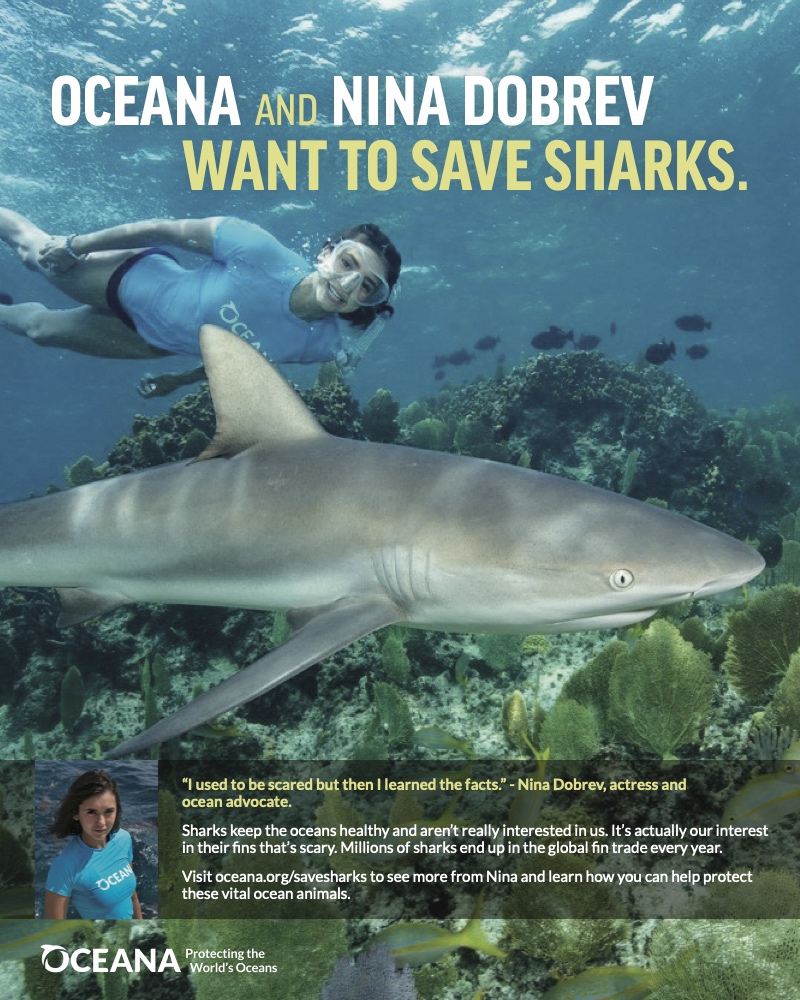 a woman snorkling with a shark